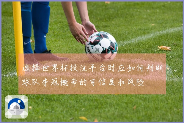 选择世界杯投注平台时应如何判断球队夺冠概率的可信度和风险