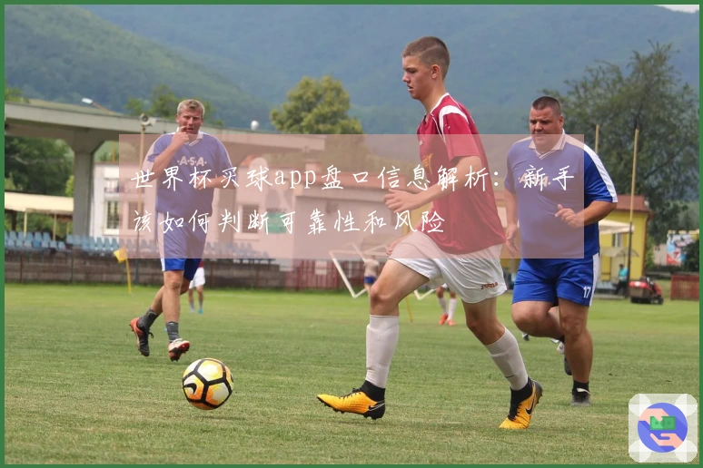世界杯买球app盘口信息解析：新手该如何判断可靠性和风险