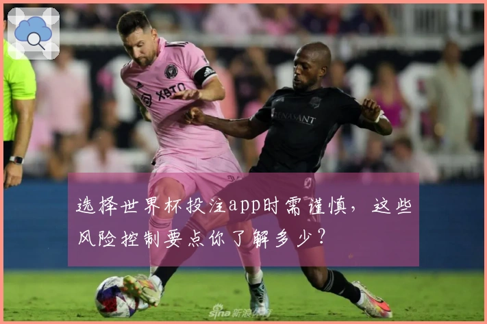 选择世界杯投注app时需谨慎，这些风险控制要点你了解多少？