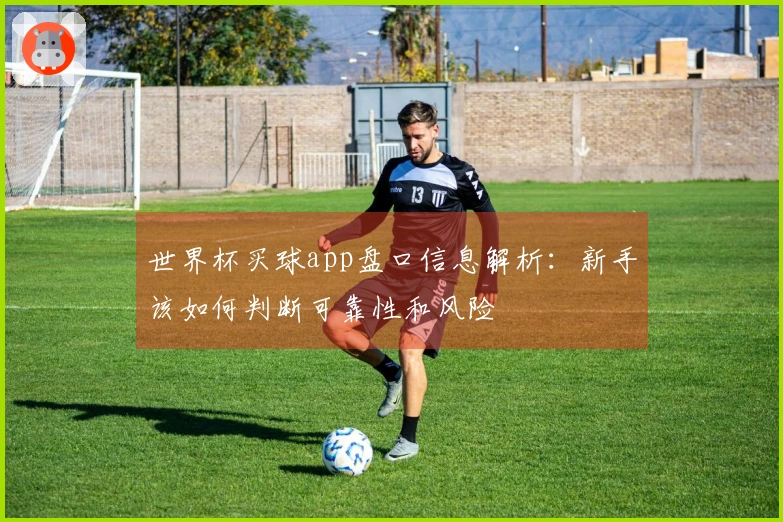 世界杯买球app盘口信息解析：新手该如何判断可靠性和风险